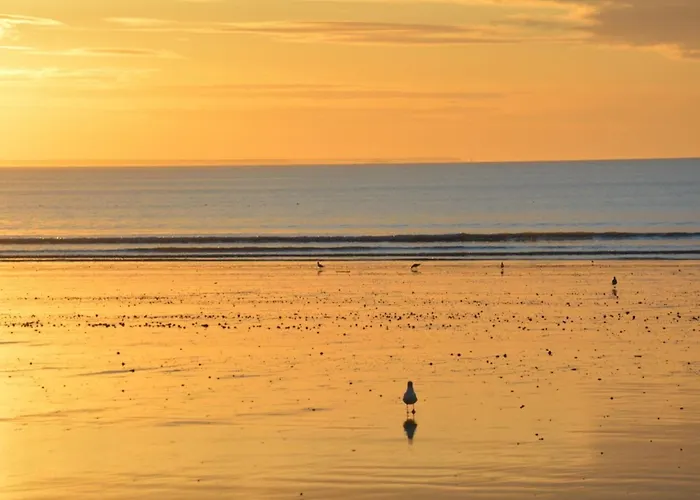 De Standing A Jullouville: 6 Couchages, Piscine Chauffee, Proche Et Commerces, Wifi Gratuit - Fr-1-361-548 * ジュルヴィル・レ・パン